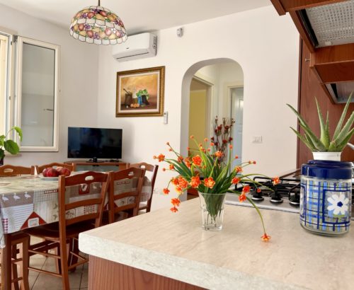 Yellow Beachfront house