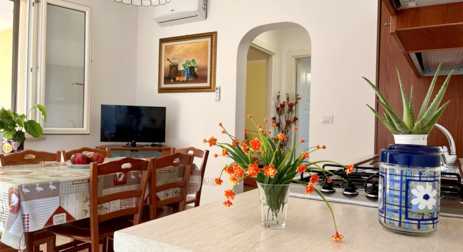 Yellow Beachfront house